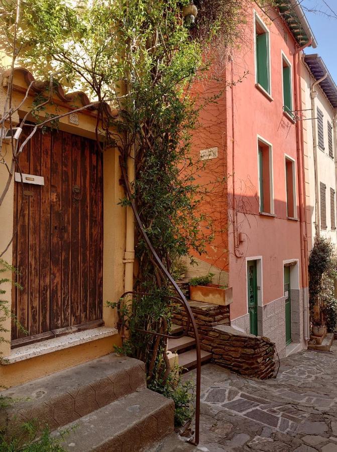 6Conv21 Maison De Pecheur Au Faubourg Villa Collioure Exterior photo